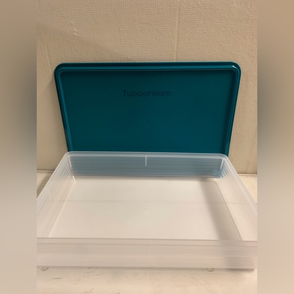 Snack-Stor® Large Container - Picture 3 of 5